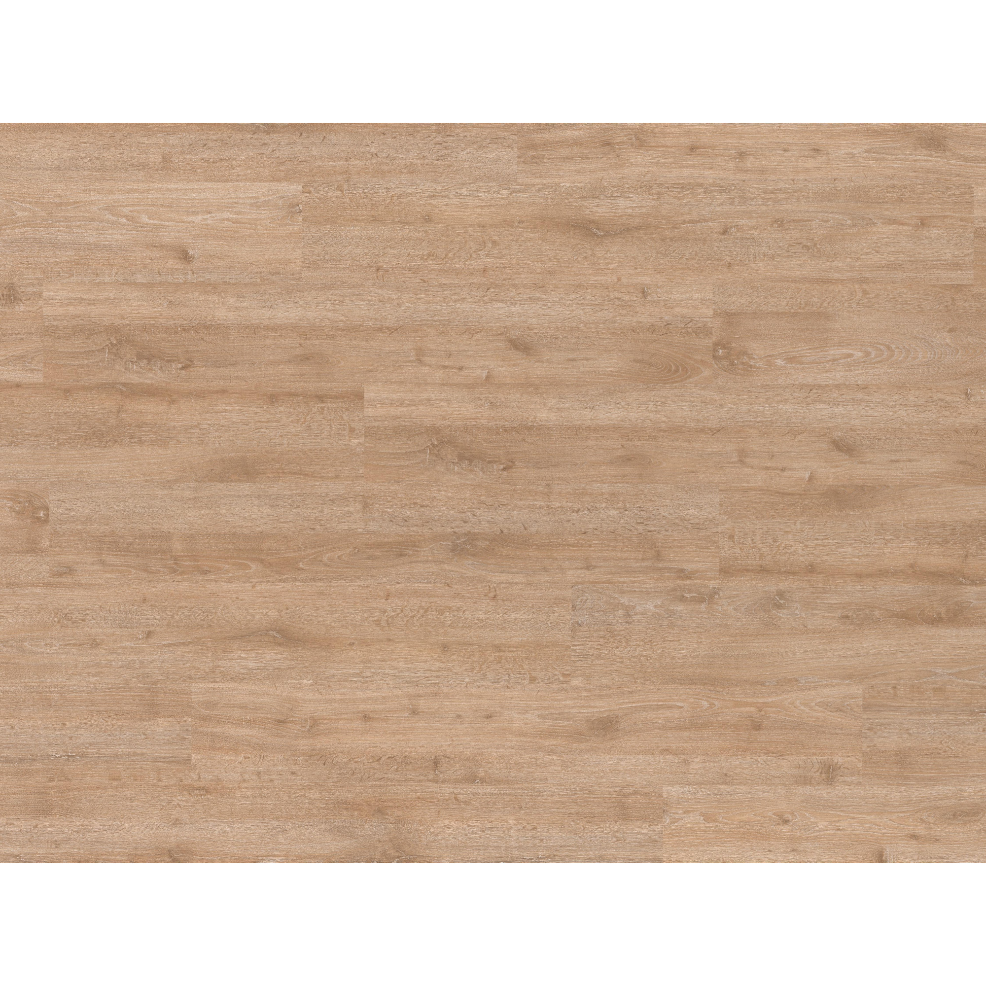 Ламинат Egger Pro Classic 8|32 EPL134 Дуб Ильмень Ламинат Egger Pro Classic 8|32 EPL134 Дуб Ильмень
